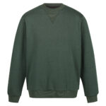 Variation picture for Dark Green